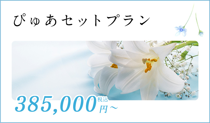 ぴゅあセットプラン